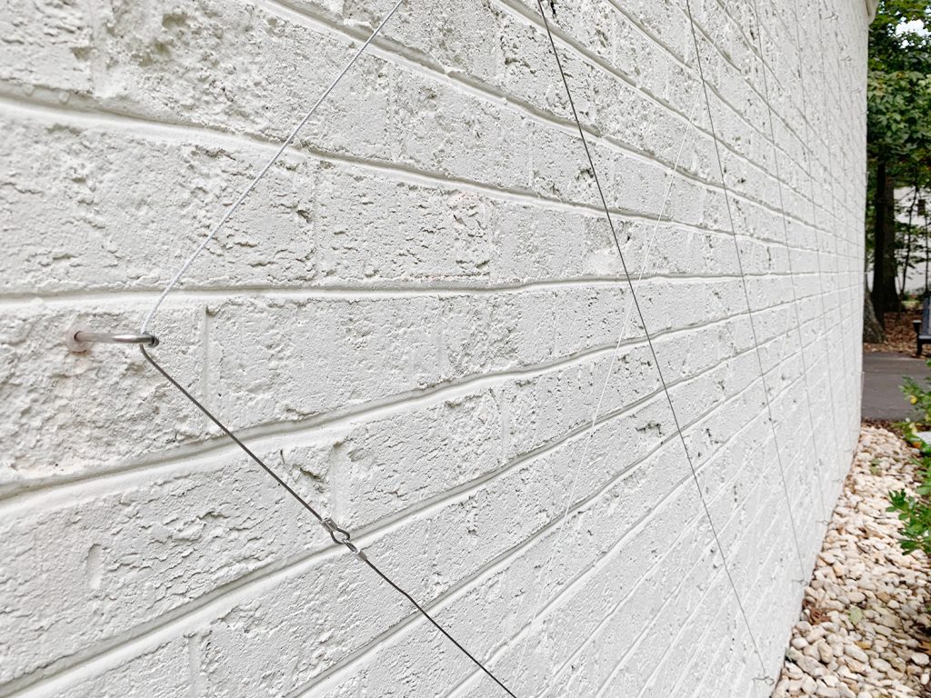 Finished Wire Trellis On White Brick Wall