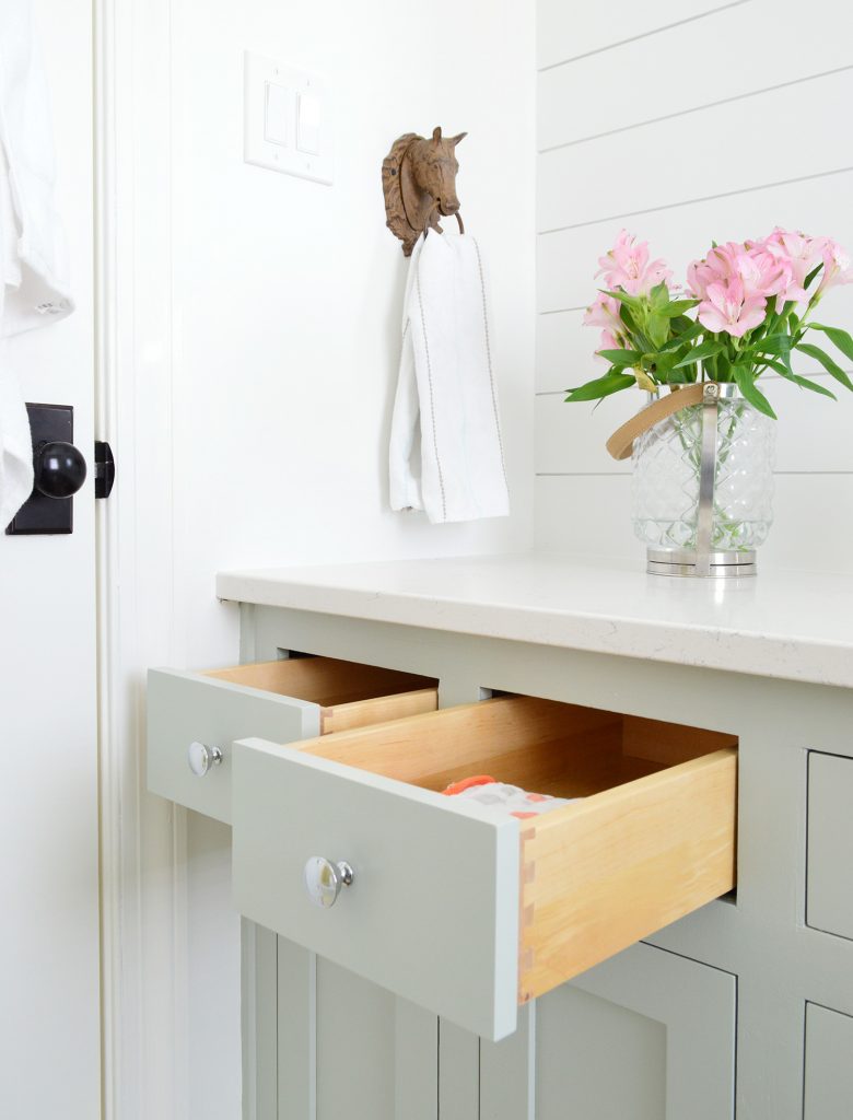 Kids Hall Bathroom Drawers Open Front